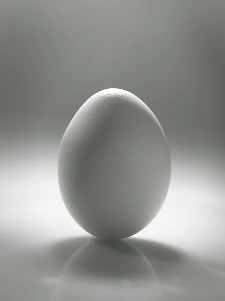 Белое яйцо над столом с отражением и тенью — стоковое фото