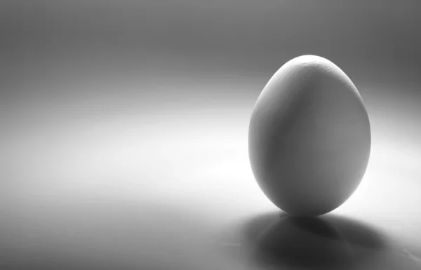 Simple as... White egg over desk with reflection and shadow — Stock Photo, Image