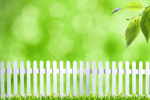 Sommer Hintergründe mit Bokeh, Gras und weißem Zaun — Stockfoto