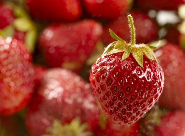Sweet juicy strawberry — Stock Photo, Image