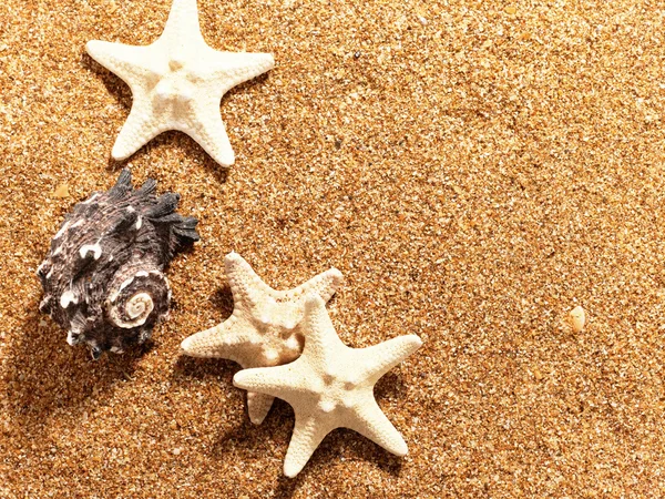Fundos marinhos abstratos sobre a areia do mar — Fotografia de Stock
