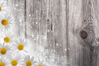 Old wooden desk and daisy flowers, abstract backgrounds clipart
