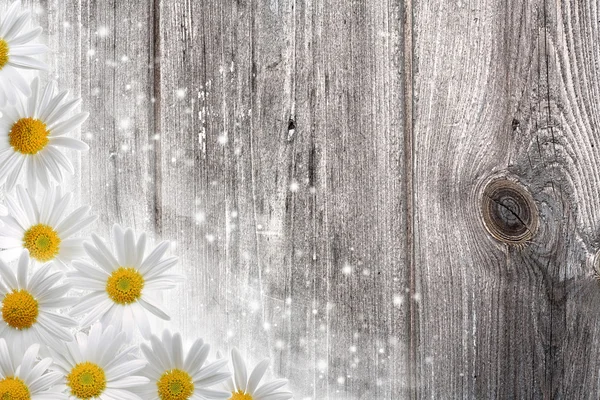 stock image Old wooden desk and daisy flowers, abstract backgrounds