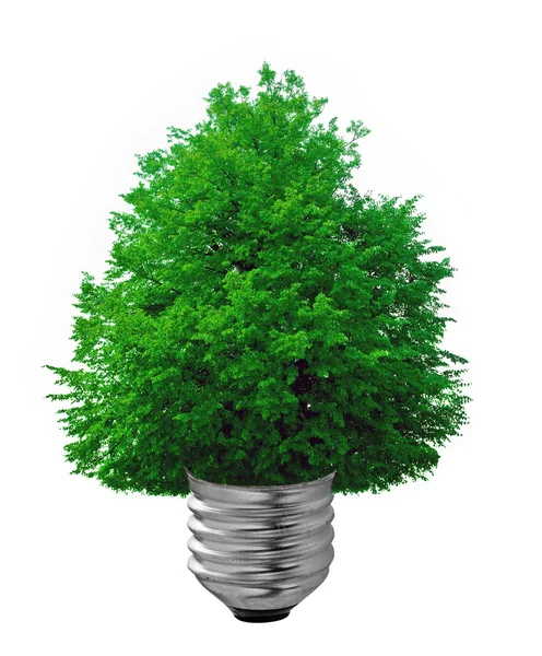 Light bulb — Stock Photo, Image