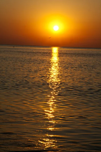 海の上の赤の昇る太陽 — ストック写真