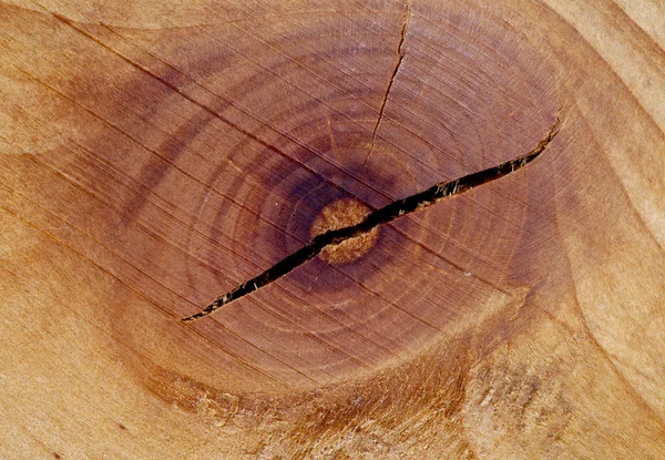 Drewno — Zdjęcie stockowe