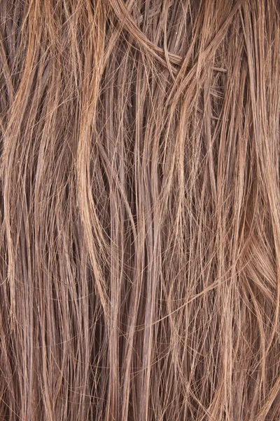 Hairs — Stock Photo, Image