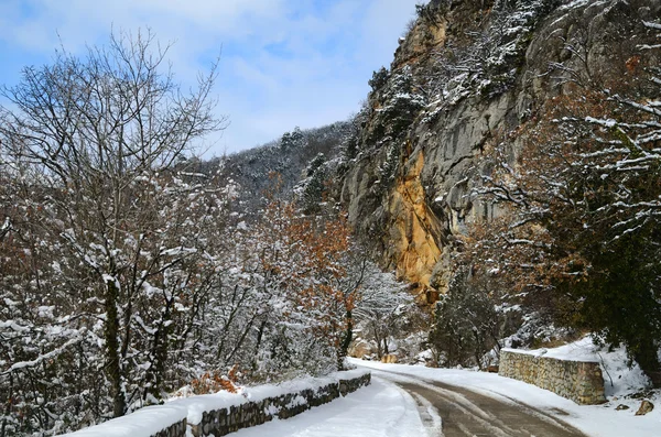 stock image Mountain road