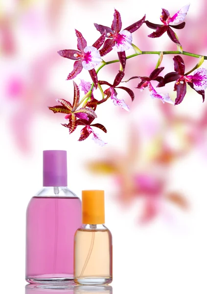 Parfüm ve orkide — Stok fotoğraf