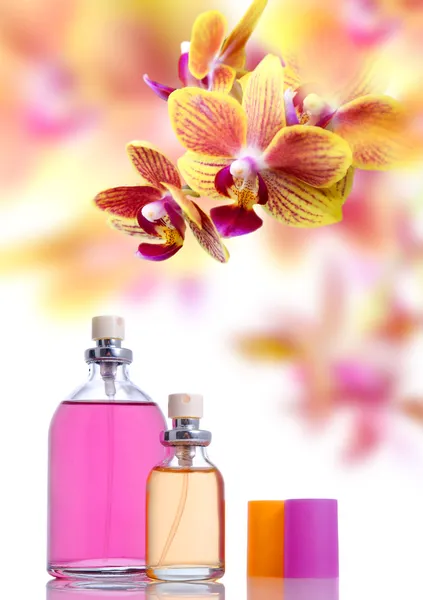 Perfume and yellow orchid — Stock Photo, Image