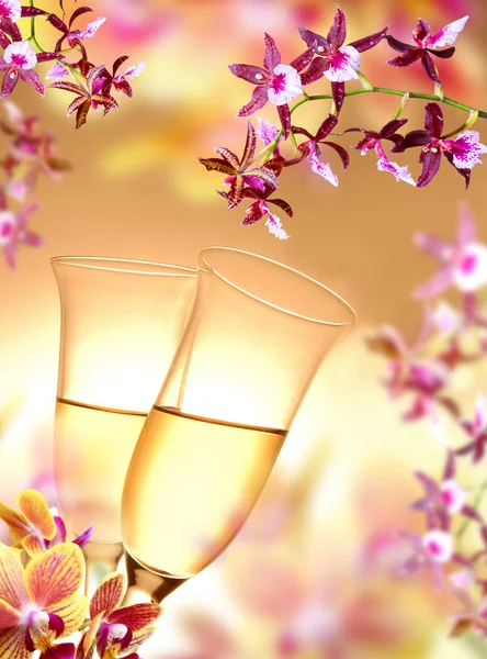 Orchidee und Champagner — Stockfoto