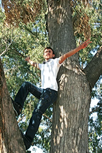 Nastolatka na drzewo — Zdjęcie stockowe