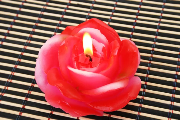 Троянди Свічка — стокове фото