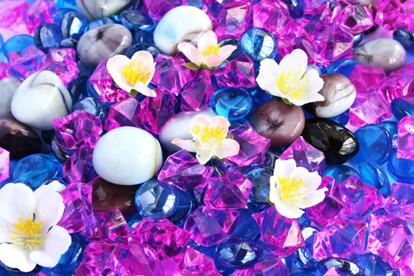 Colorful stones and flowers — Stock Photo, Image