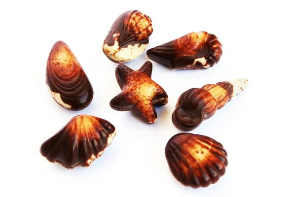 Cioccolato Seashells — Foto Stock