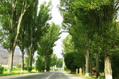 Dağ yolu