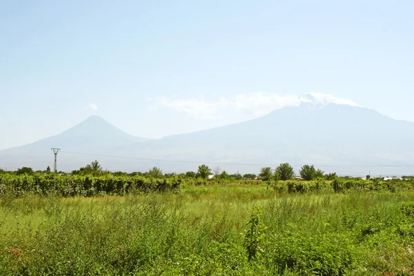 Montagna di Ararat — Foto Stock