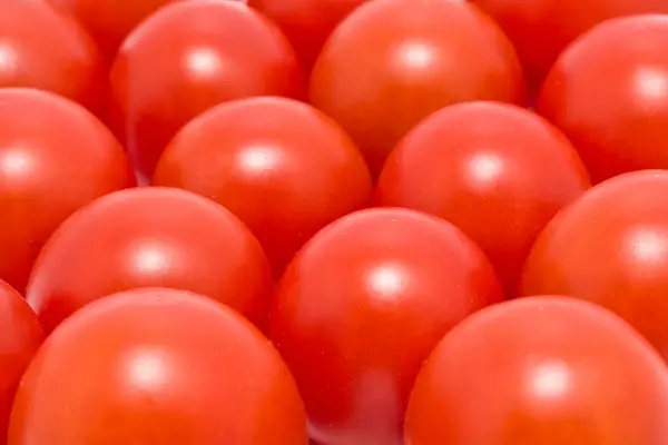 stock image Tomatoes