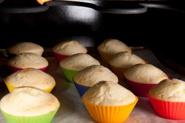 Muffins in de oven — Stockfoto
