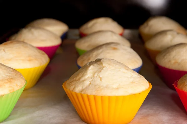 Muffins au four — Photo