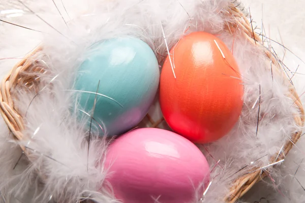 Colorfull Easter eggs on feather background Stock Image