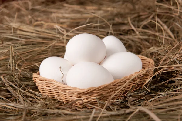 Eggs in basket — Stock Photo, Image