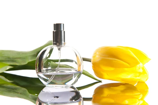 Isolated perfume and flower — Stock Photo, Image