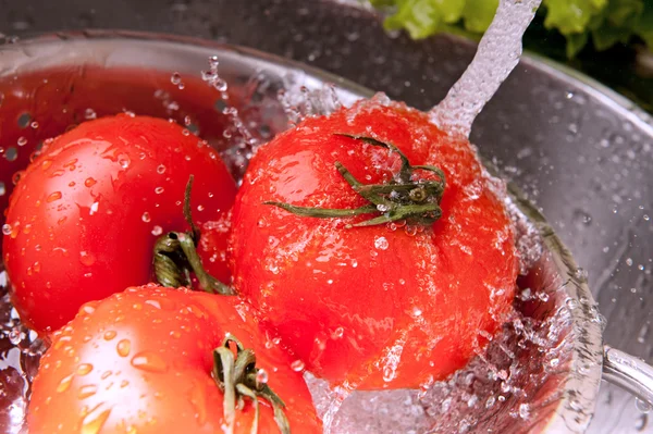 Salpicar tomates —  Fotos de Stock