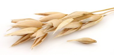 Oats on a white background clipart