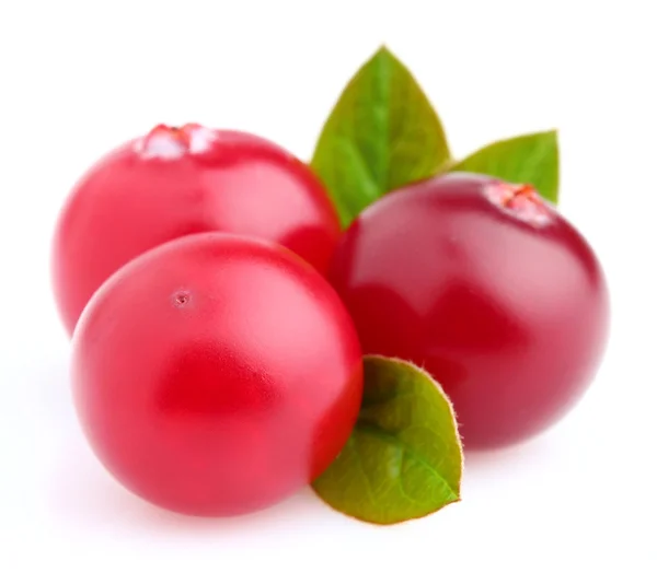Fresh ripe cranberry — Stock Photo, Image