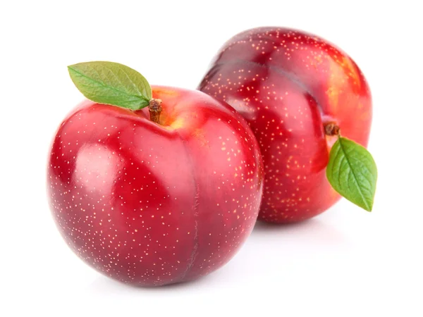 Ripe plums in closeup — Stock Photo, Image