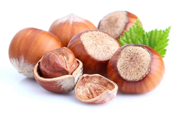 FILBERTNÖT nötter med blad — Stockfoto