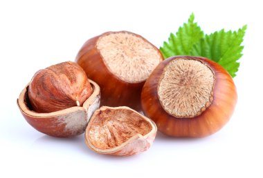 Hazelnuts with leaves clipart