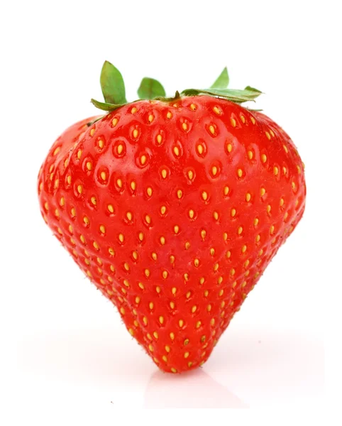 Eine reife Erdbeere — Stockfoto
