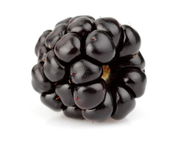 Один blackberry стиглі — стокове фото