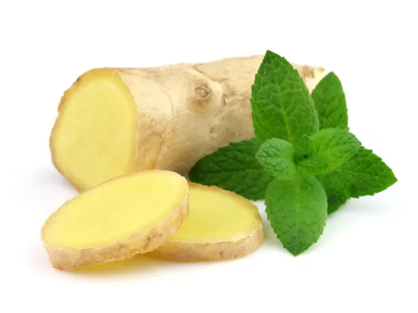 Ginger root with mint — Stock Photo, Image