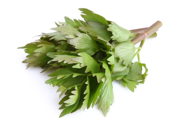 Lovage — 스톡 사진