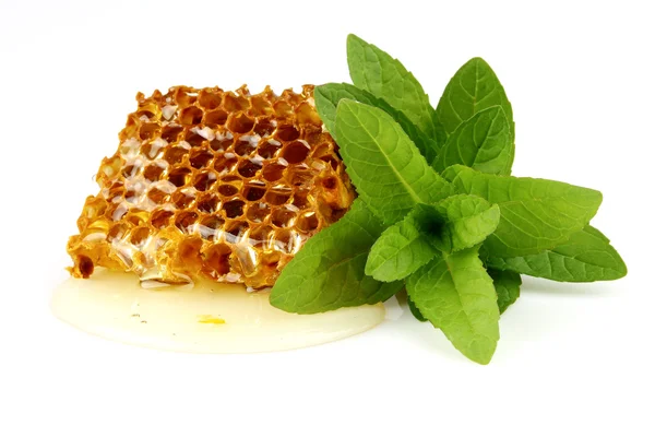 Peine de abeja con menta —  Fotos de Stock