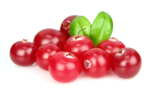 Cowberry maduro — Fotografia de Stock