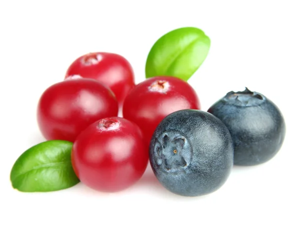 Cranberry with blueberry — Stock Photo, Image