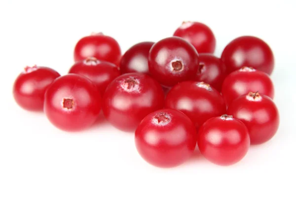 Tumpukan cranberry — Stok Foto