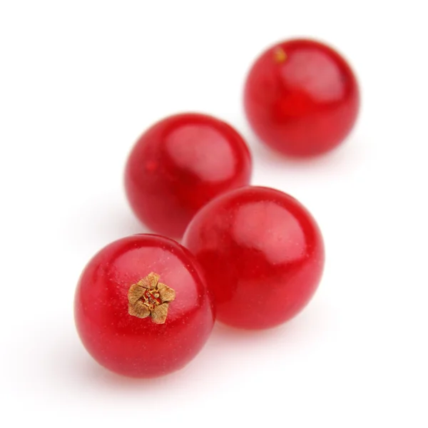 Ripe berries of a currant — Stock Photo, Image
