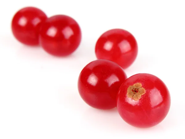 Currant in closeup — Stock Photo, Image