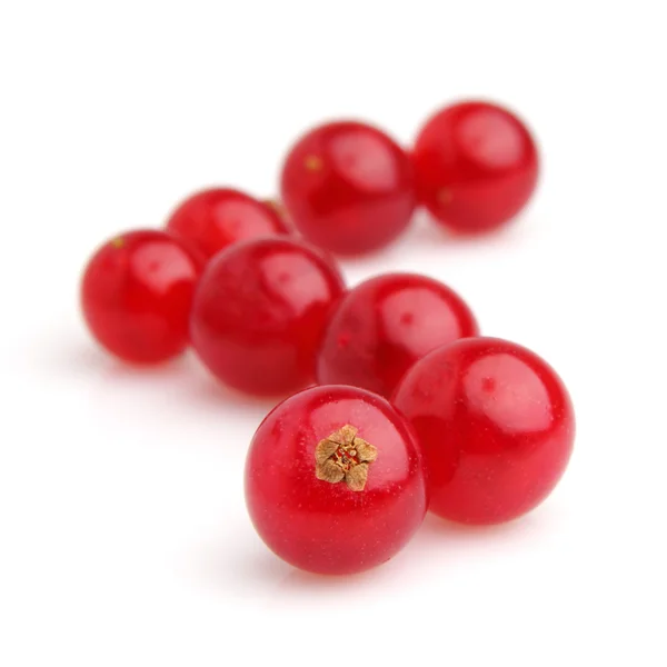 Grosella roja dulce — Foto de Stock