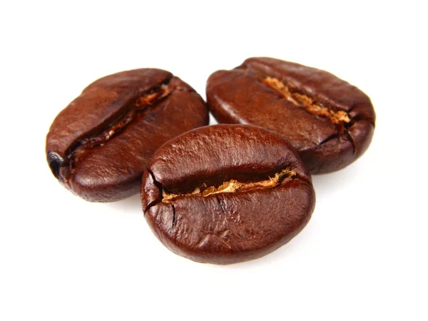 Kaffebönor i närbild — Stockfoto