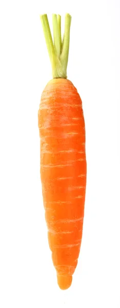 Один морква — стокове фото