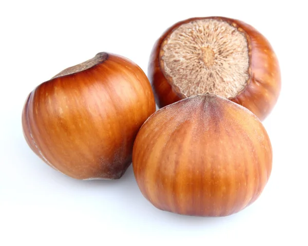 Hazelnuts in close seup — стоковое фото