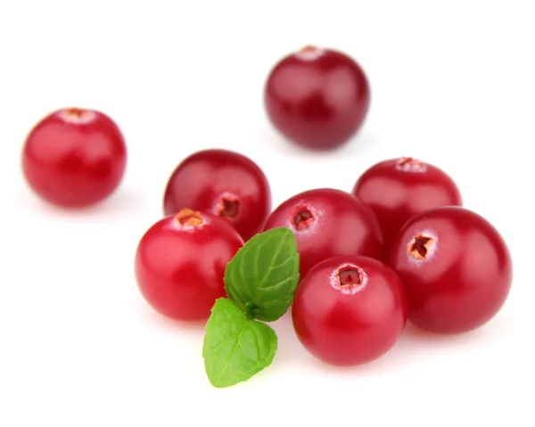 Cranberry dengan mint — Stok Foto