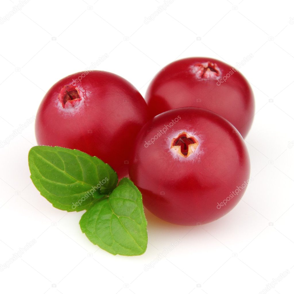 Cranberry with leaves of mint