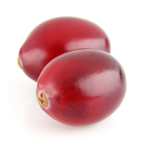两个小红莓 — 图库照片